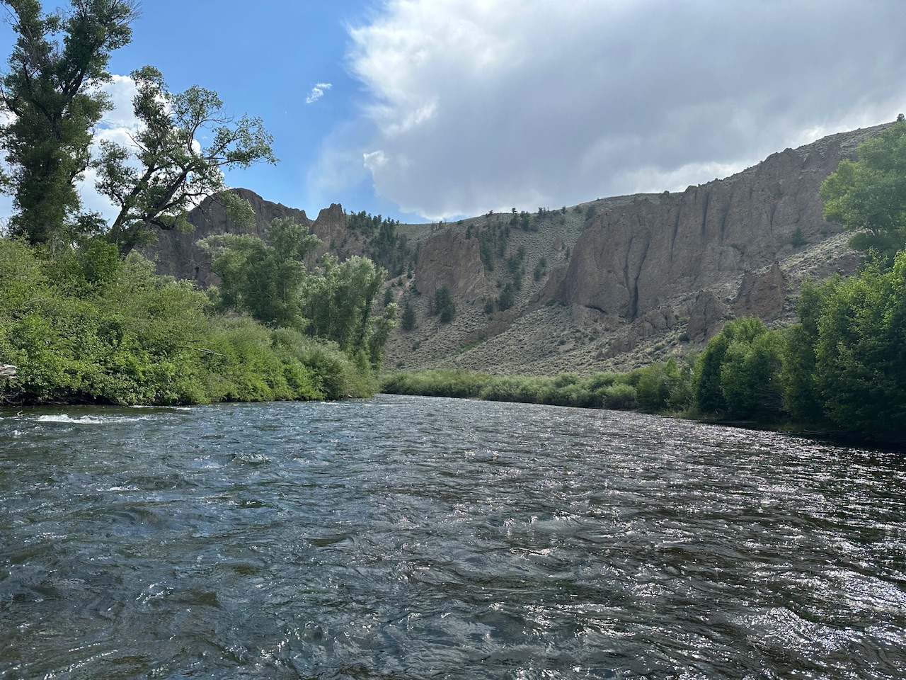 Cleaning and rafting