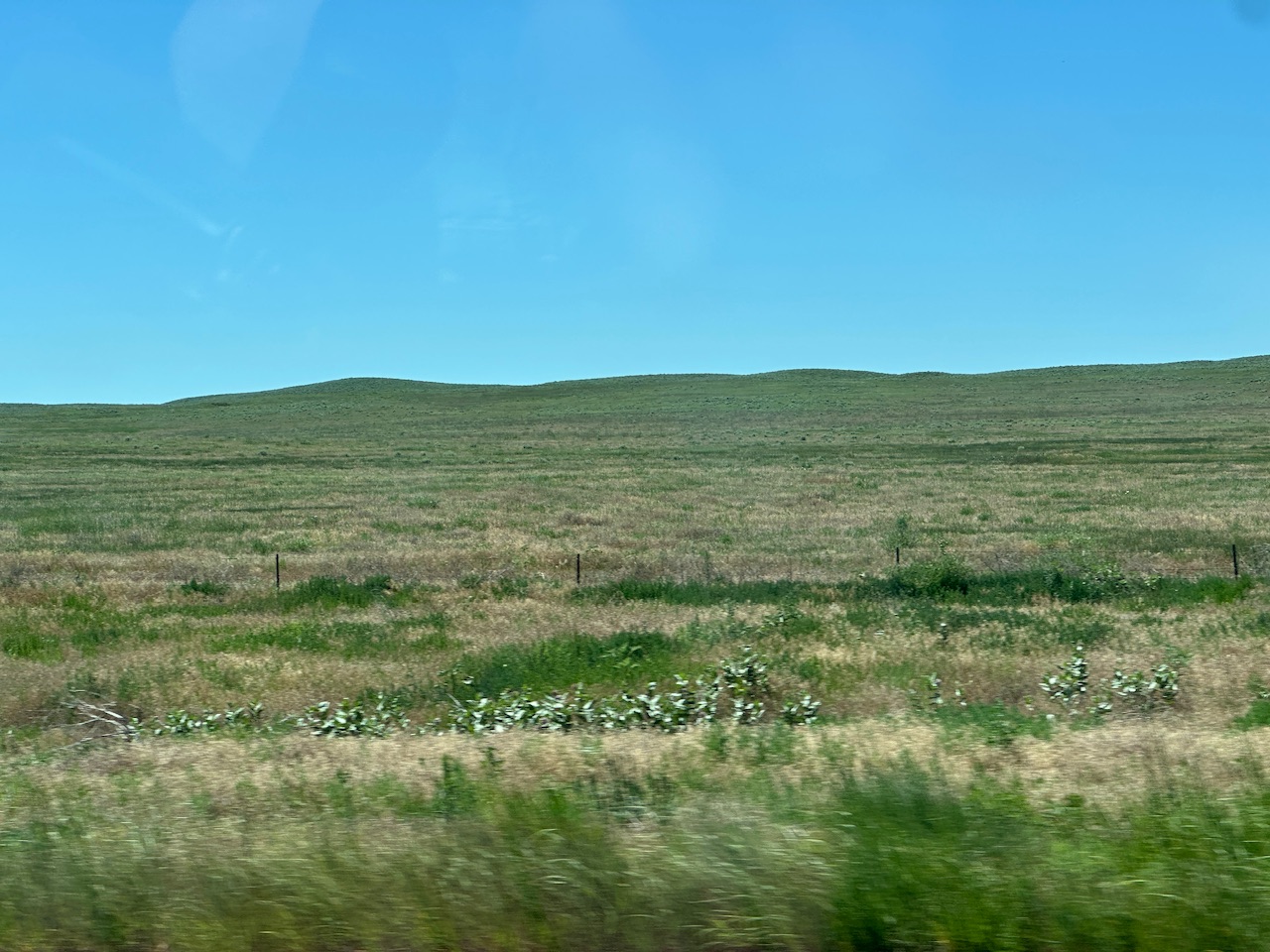 Road Trip Reversed -Day 2